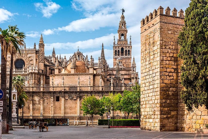 Visita con guía a la Giralda y la Catedral de Sevilla - Galería 3