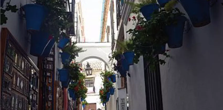 Tour Mezquita de Córdoba y Judería - Galería 3